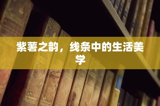 紫薯之韵，线条中的生活美学