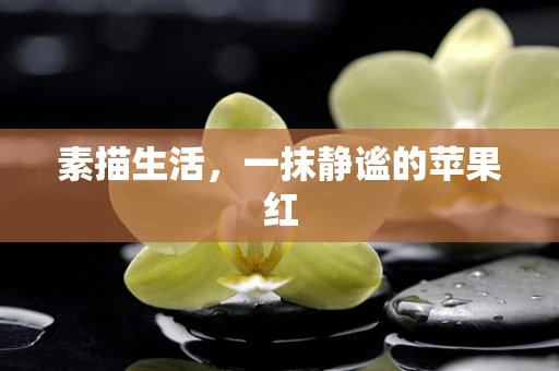 素描生活，一抹静谧的苹果红