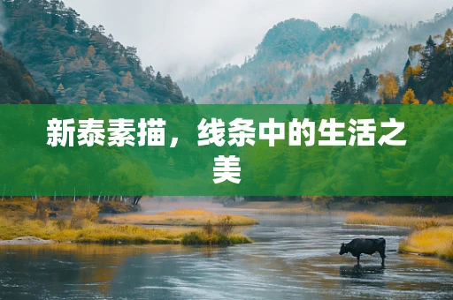 新泰素描，线条中的生活之美