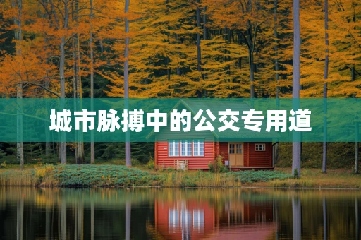 城市脉搏中的公交专用道