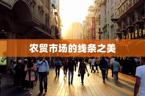 农贸市场的线条之美
