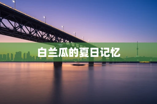 白兰瓜的夏日记忆