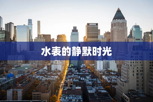 水表的静默时光