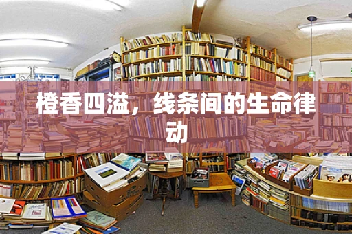 橙香四溢，线条间的生命律动