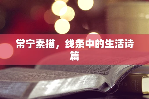 常宁素描，线条中的生活诗篇