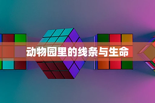 动物园里的线条与生命