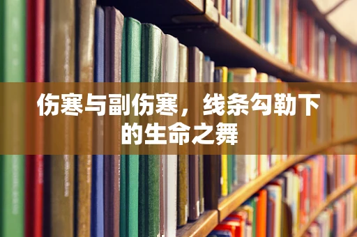 伤寒与副伤寒，线条勾勒下的生命之舞