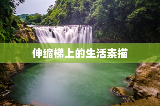 伸缩梯上的生活素描