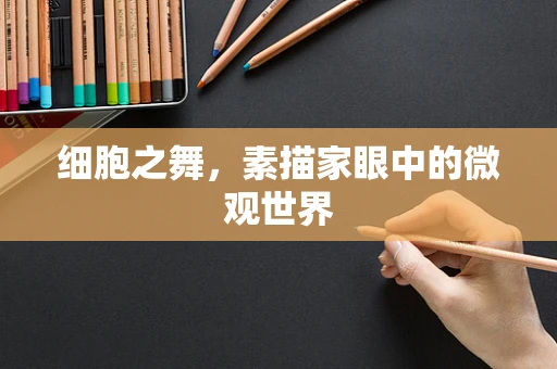 细胞之舞，素描家眼中的微观世界