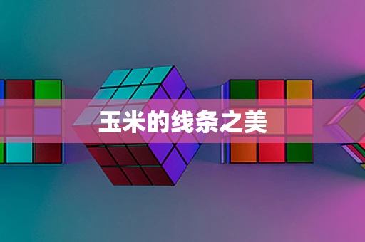 玉米的线条之美