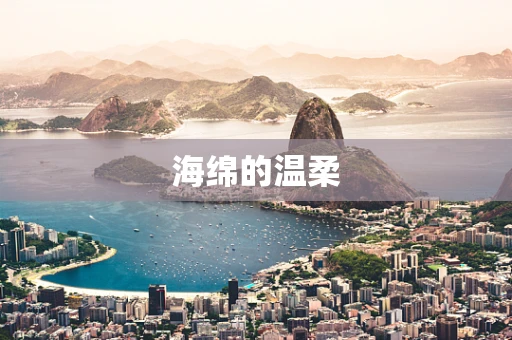 海绵的温柔