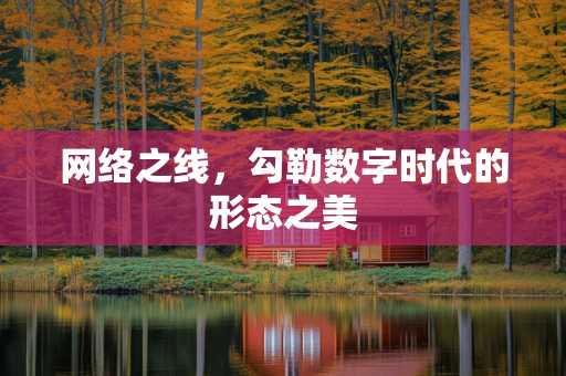 网络之线，勾勒数字时代的形态之美