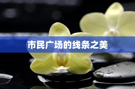市民广场的线条之美