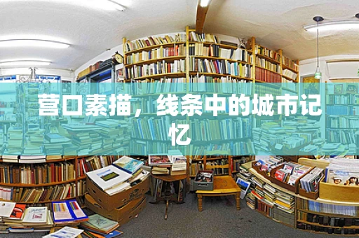 营口素描，线条中的城市记忆