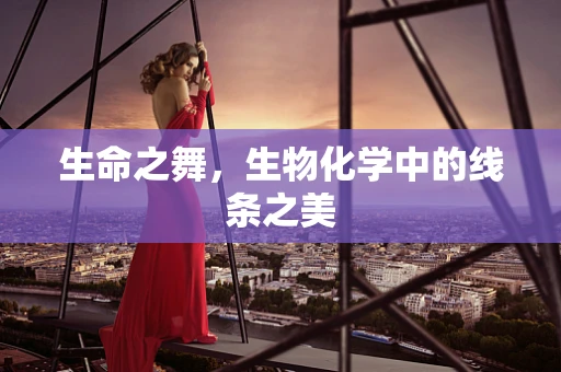 生命之舞，生物化学中的线条之美