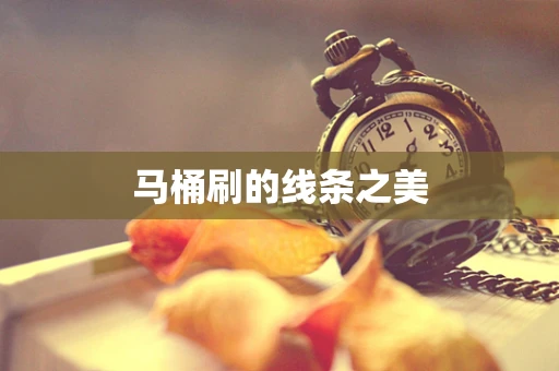 马桶刷的线条之美