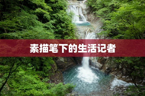素描笔下的生活记者