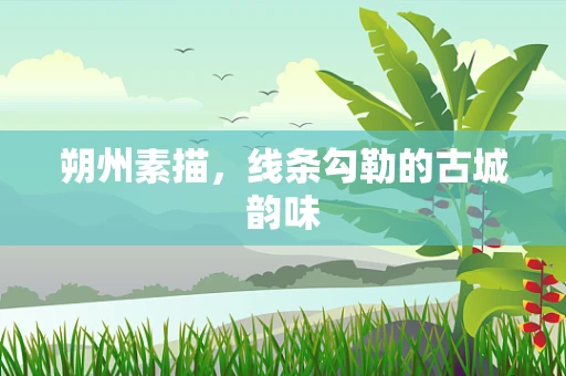 朔州素描，线条勾勒的古城韵味
