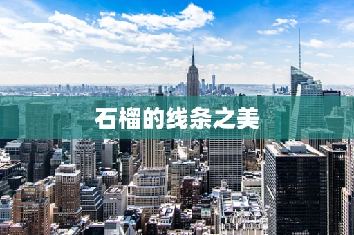 石榴的线条之美