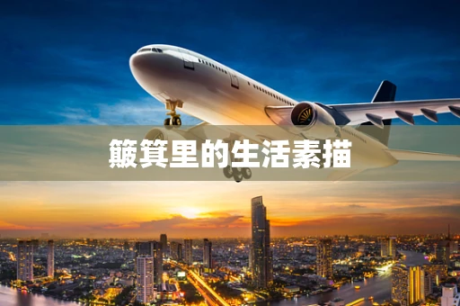 簸箕里的生活素描