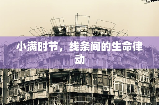 小满时节，线条间的生命律动