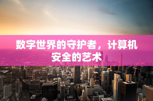 数字世界的守护者，计算机安全的艺术