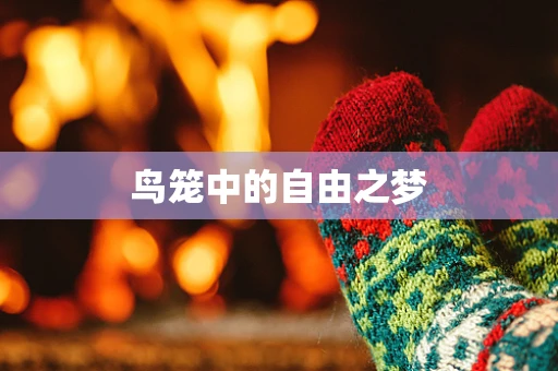 鸟笼中的自由之梦