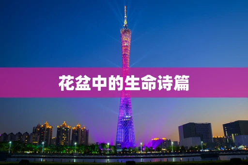 花盆中的生命诗篇
