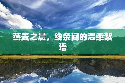 燕麦之晨，线条间的温柔絮语