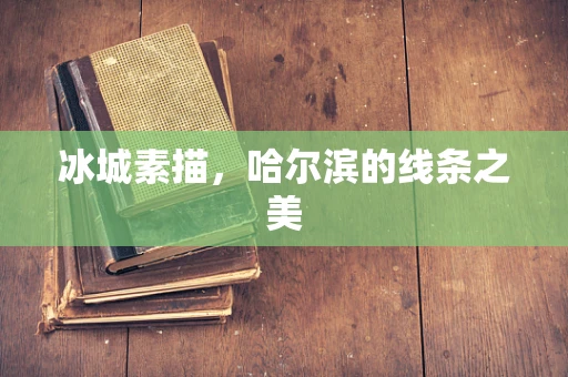 冰城素描，哈尔滨的线条之美