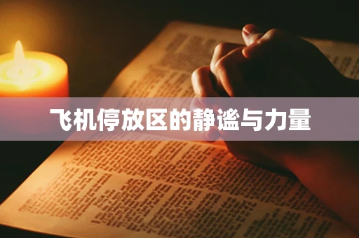 飞机停放区的静谧与力量