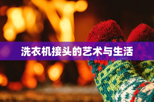 洗衣机接头的艺术与生活