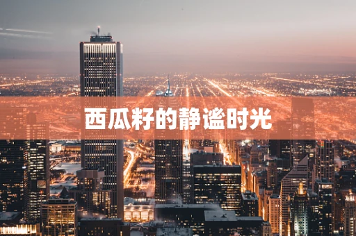 西瓜籽的静谧时光