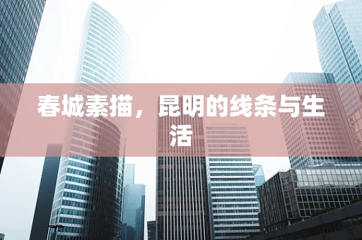 春城素描，昆明的线条与生活