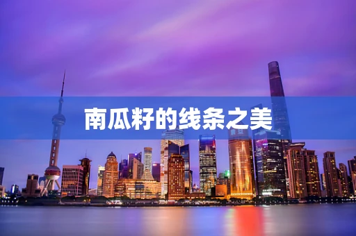 南瓜籽的线条之美