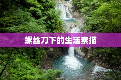 螺丝刀下的生活素描