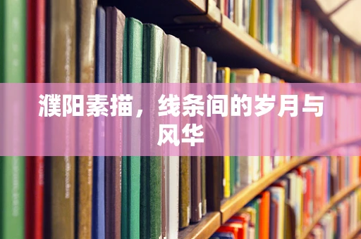 濮阳素描，线条间的岁月与风华