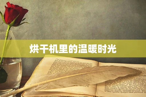 烘干机里的温暖时光