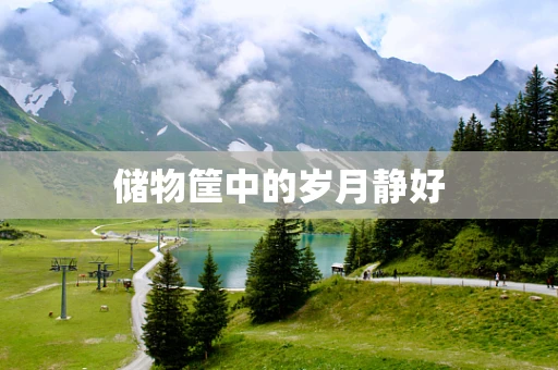储物筐中的岁月静好