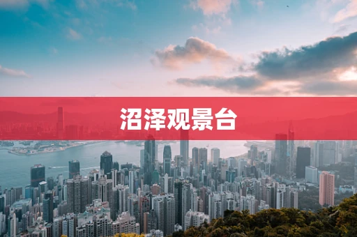 沼泽观景台