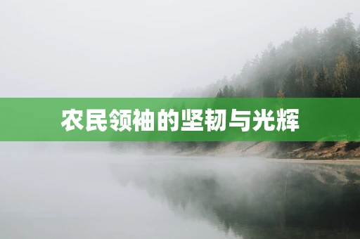 农民领袖的坚韧与光辉