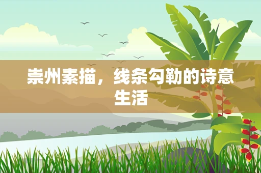 崇州素描，线条勾勒的诗意生活