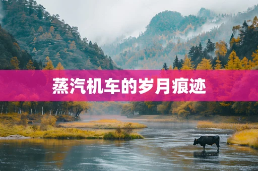 蒸汽机车的岁月痕迹