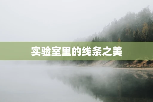 实验室里的线条之美