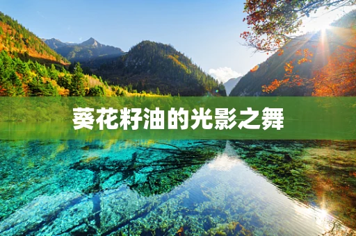 葵花籽油的光影之舞