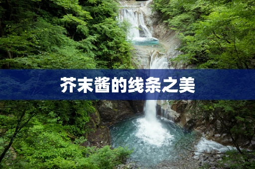 芥末酱的线条之美