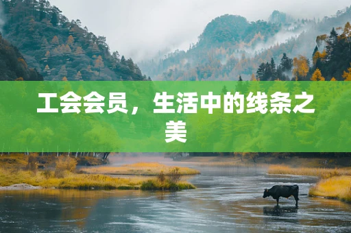 工会会员，生活中的线条之美