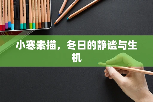 小寒素描，冬日的静谧与生机