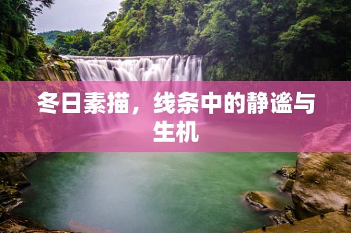 冬日素描，线条中的静谧与生机