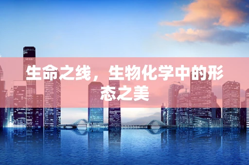 生命之线，生物化学中的形态之美